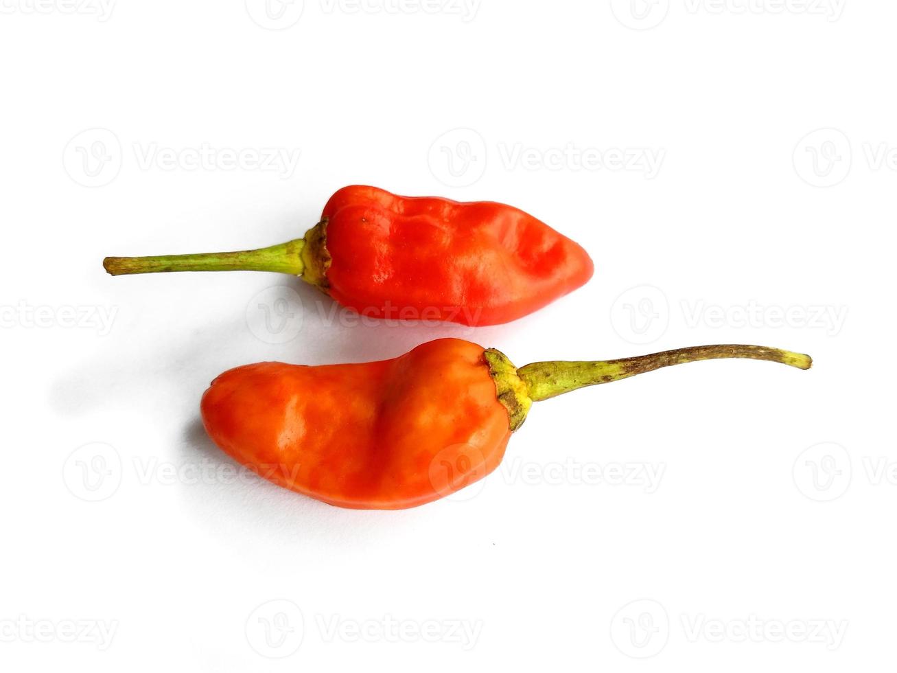 Chili pepper isolated on a white background. hot red chili pepper photo