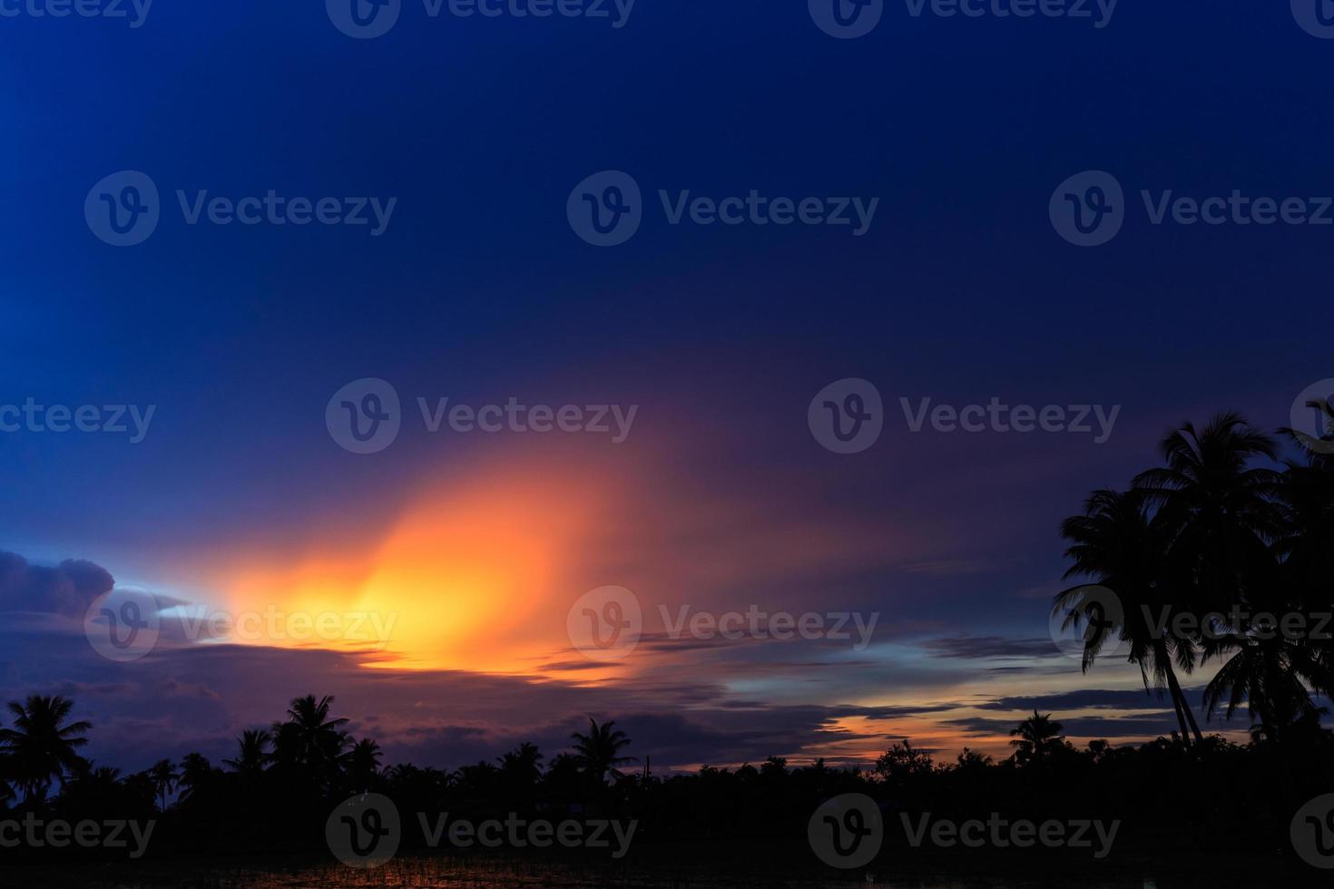 Coconut tree in sunset background. photo
