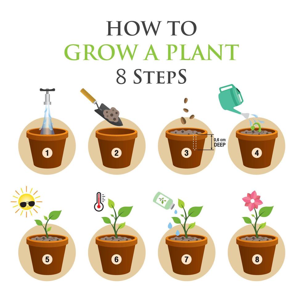 algoritmo de plantación de árboles del vector 8