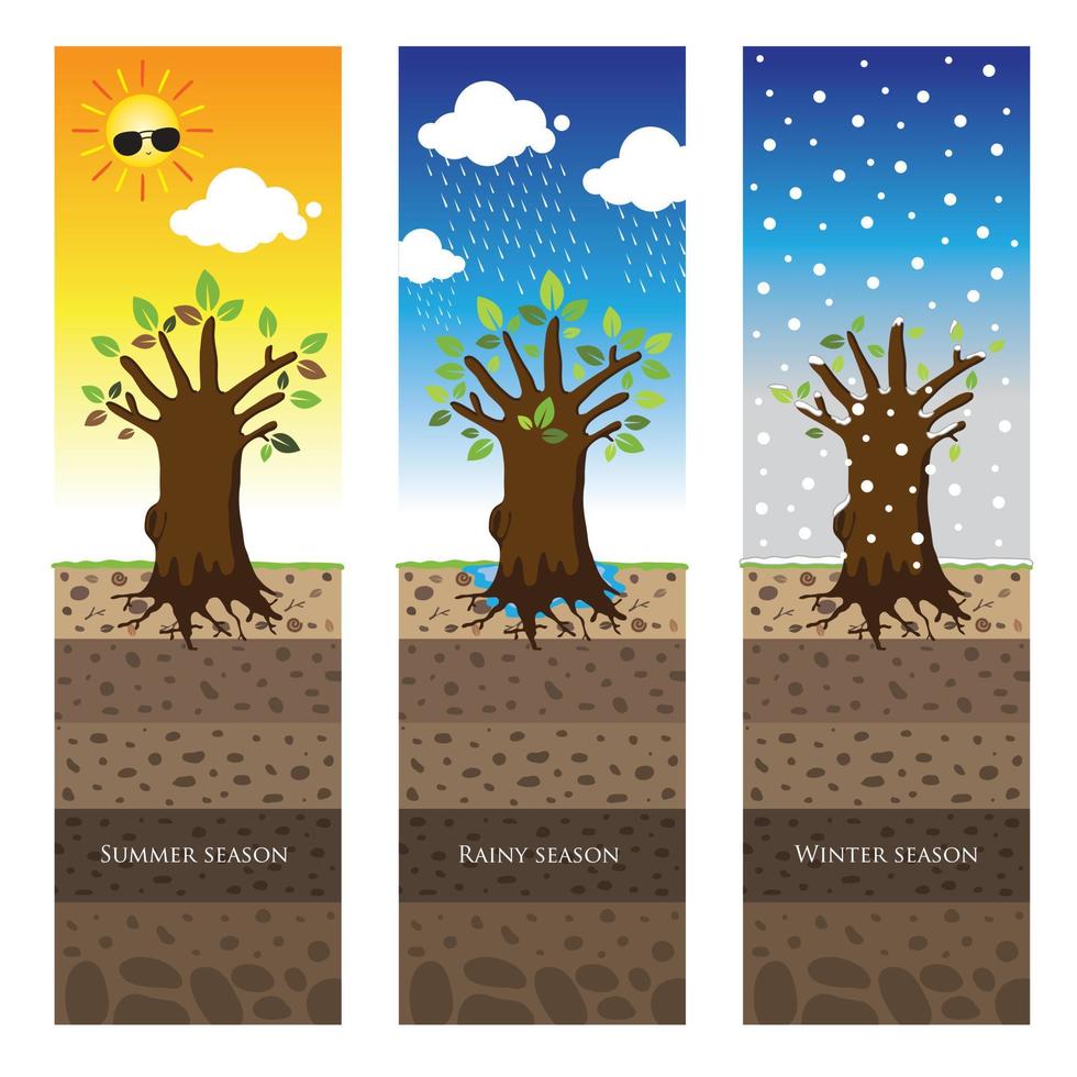 vector image 3 season, summer, rain, cold