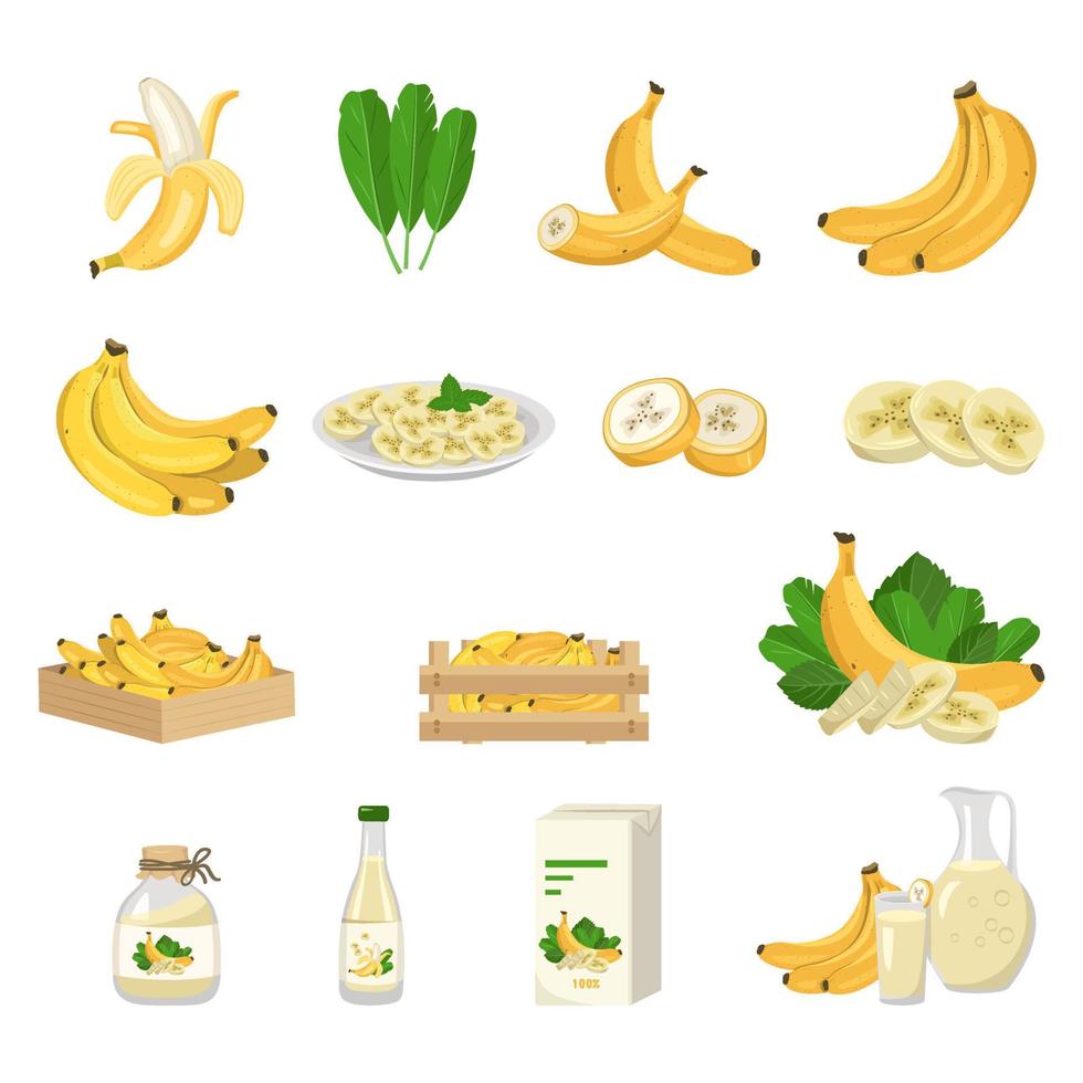 Banana fruit icons set. Whole fruit, peeled, half and cut into slices on plate and leaves. Juice in bottle and pack, jug and glass, jam in jar and bunches of fruit in box. Sweet food vector