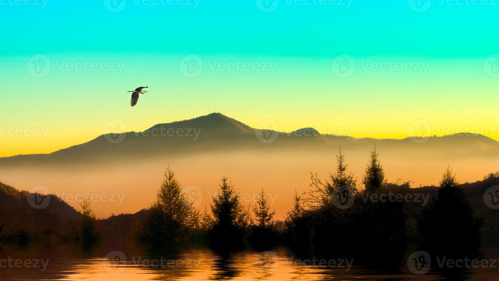 Heron in the mountains photo
