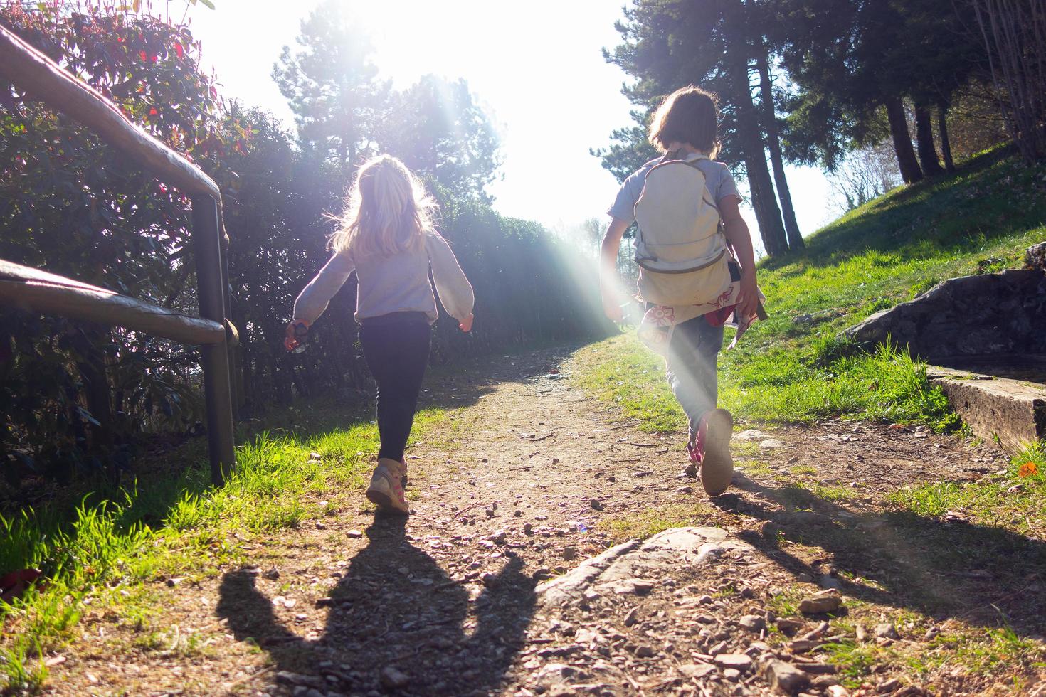 Little girls on a hiking trip in the mountains photo