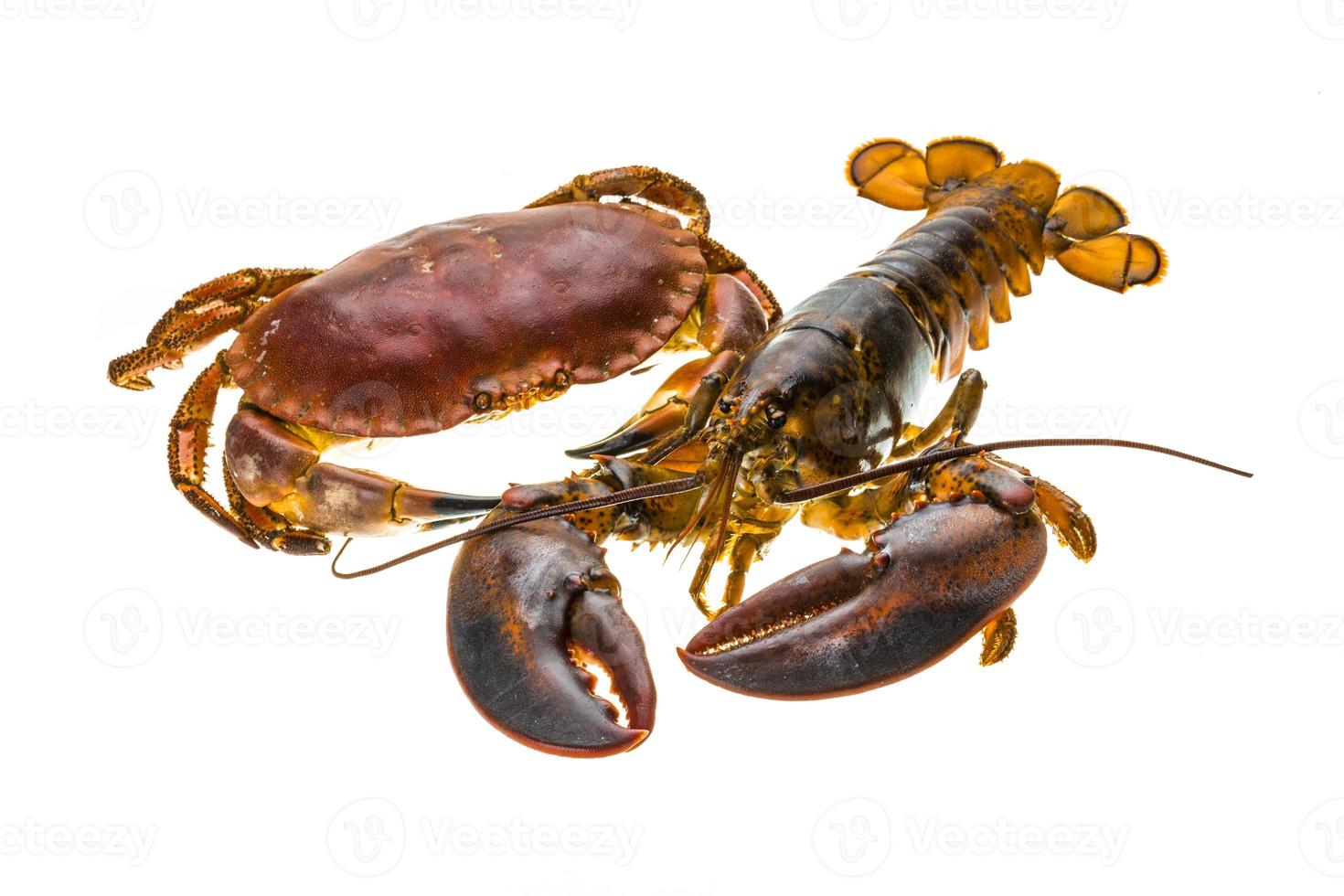 Raw Lobster and Crab photo