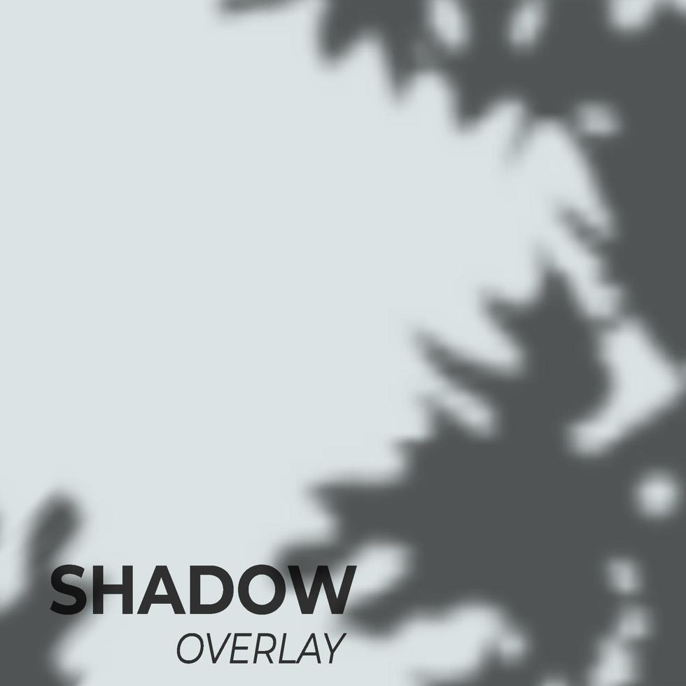 shadow overlay leaf 3 vector