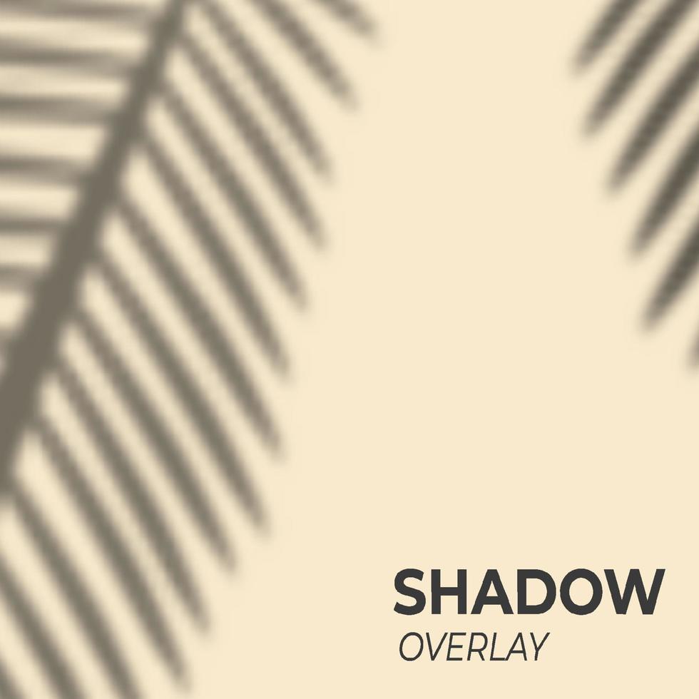 shadow overlay palm leaf vector