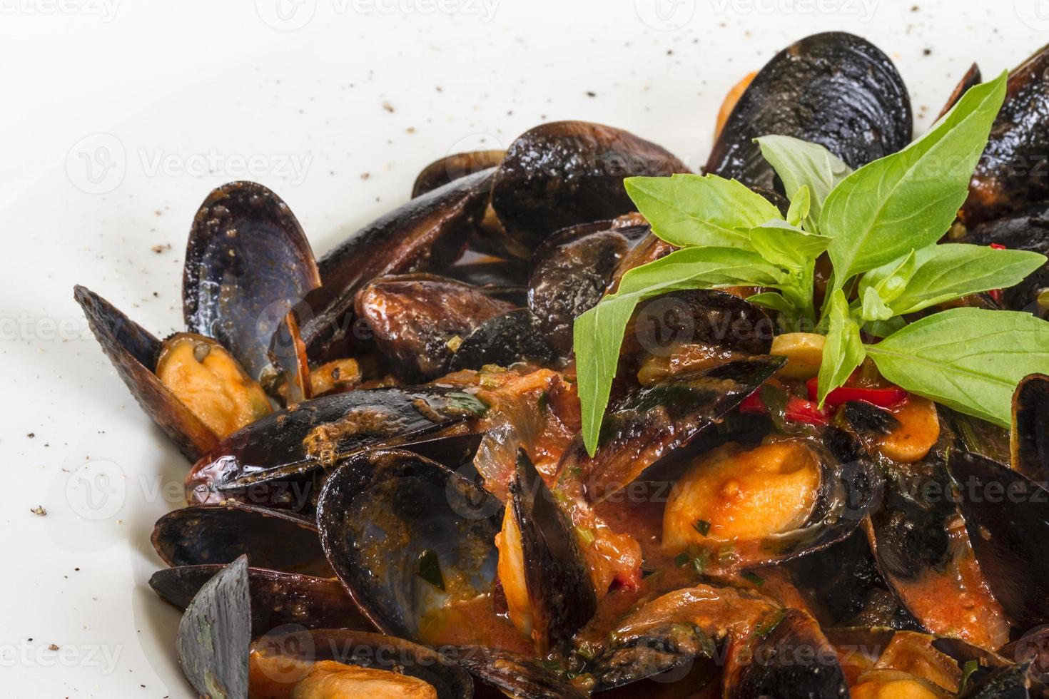 close up on mussels on white background photo