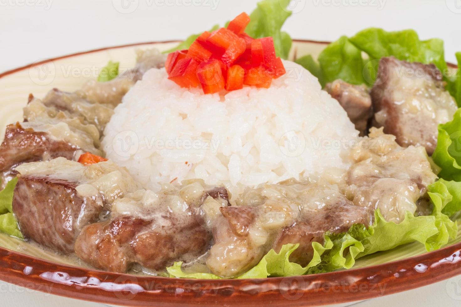 Rice and pork japanese style 7806274 Stock Photo at Vecteezy
