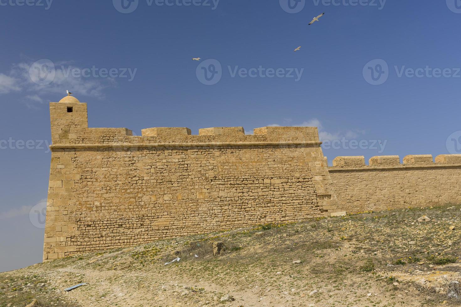 Old Fortess ruin in Mahdia Tunis photo