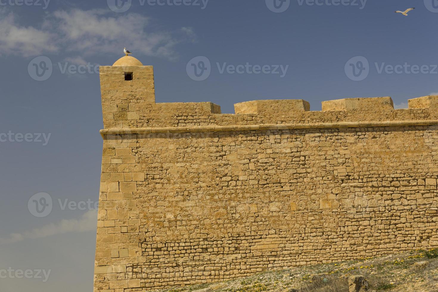 Old Fortess ruin in Mahdia Tunis photo