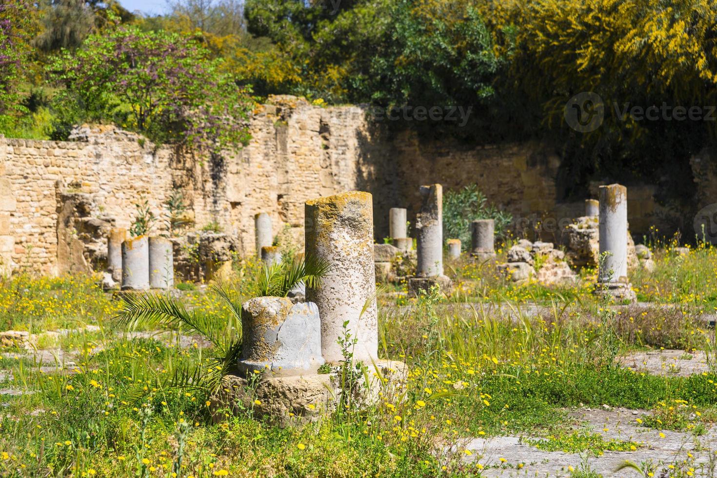 Old Carthage ruins photo