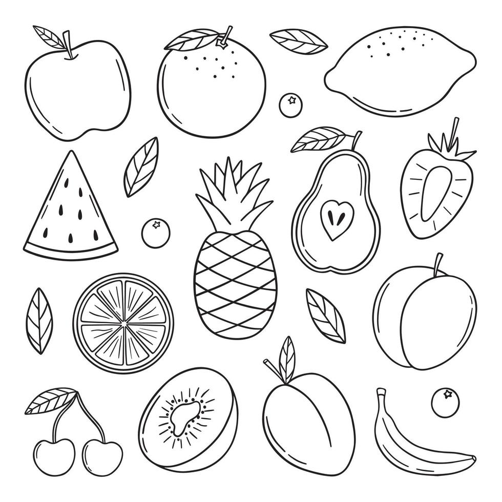 Hand drawn set of summer tropical fruits doodle.  Vegetarian food in sketch style.  Vector illustration isolated on white background.