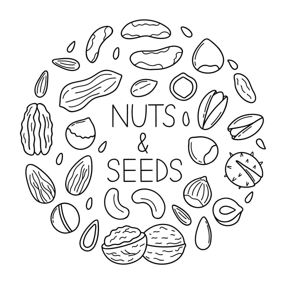 Hand drawn set of nuts and seeds doodle. Almond, hazelnut, pistachio, macadamia, cashew, walnut in sketch style.  Vector illustration isolated on white background