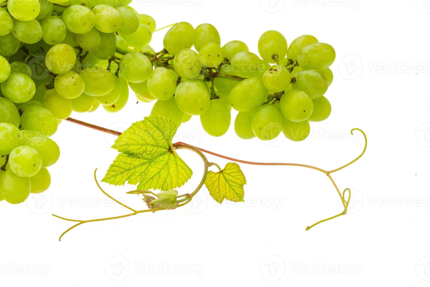 Green bright grape photo