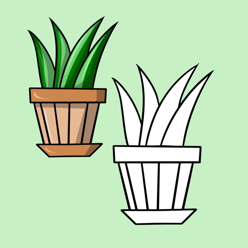 A set of color and sketch image. Green plant sansevieria, aloe in a ceramic pot, indoor plants, cartoon vector illustration on a green background