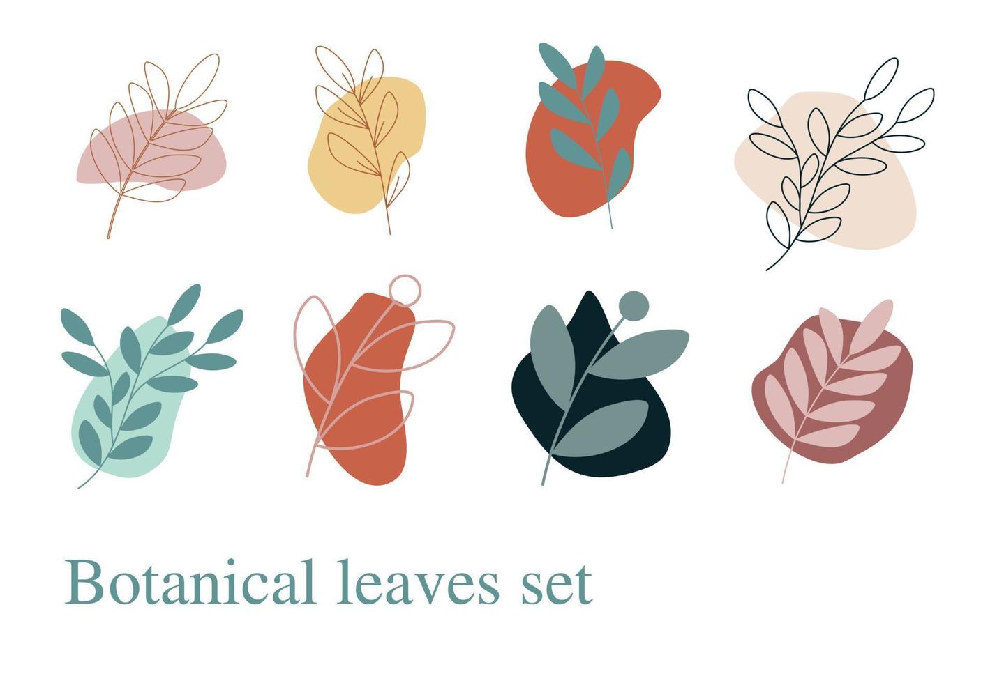 Set of floral botanical leaves vector illustration isolated on white background. Botanical floral leaves collection.