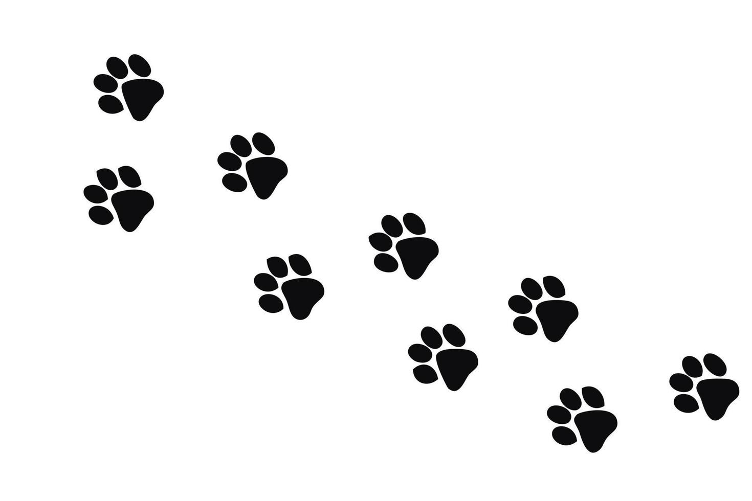 imprime iconos gráficos de patas de gato. huellas gato aislado sobre fondo blanco. huellas de animales. ilustración vectorial amante de los gatos vector