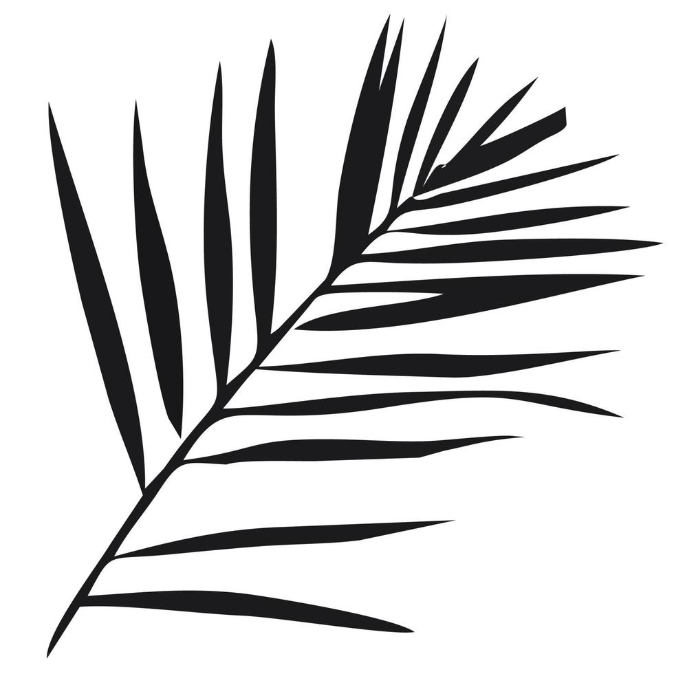 LEAF PATTERN VECTOR IN BLACK WITH WHITE BACKGROUND.