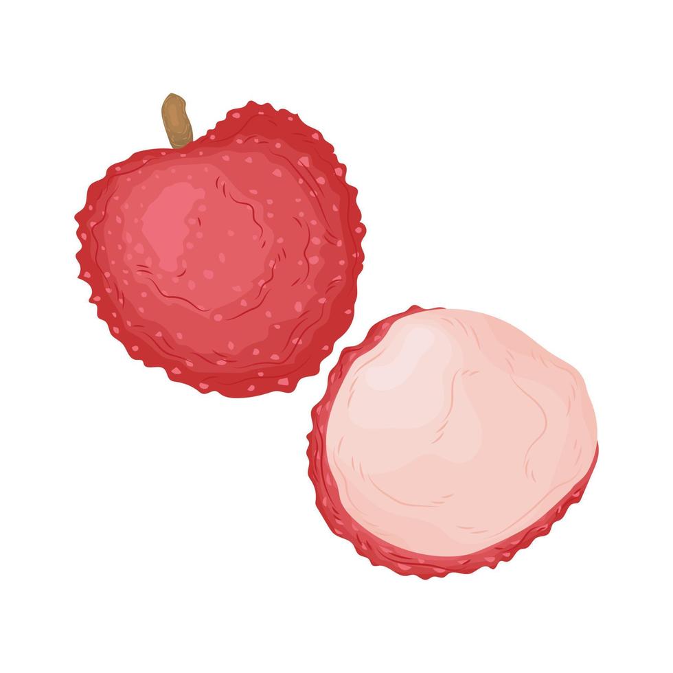 lychee summer cartoon fruit tropical berry vector element juicy ingredient drawing exotic pink diet