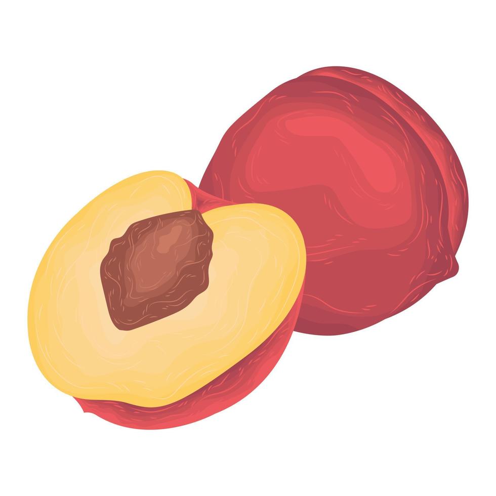 postre verano melocotón fruta vector dibujos animados tropical ingrediente dieta lindo hecho en casa sabor jugo horneado