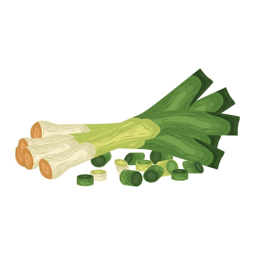 leek salad vector harvest plant vegan cook japanese food vegetable doodle diet leaf food abstract