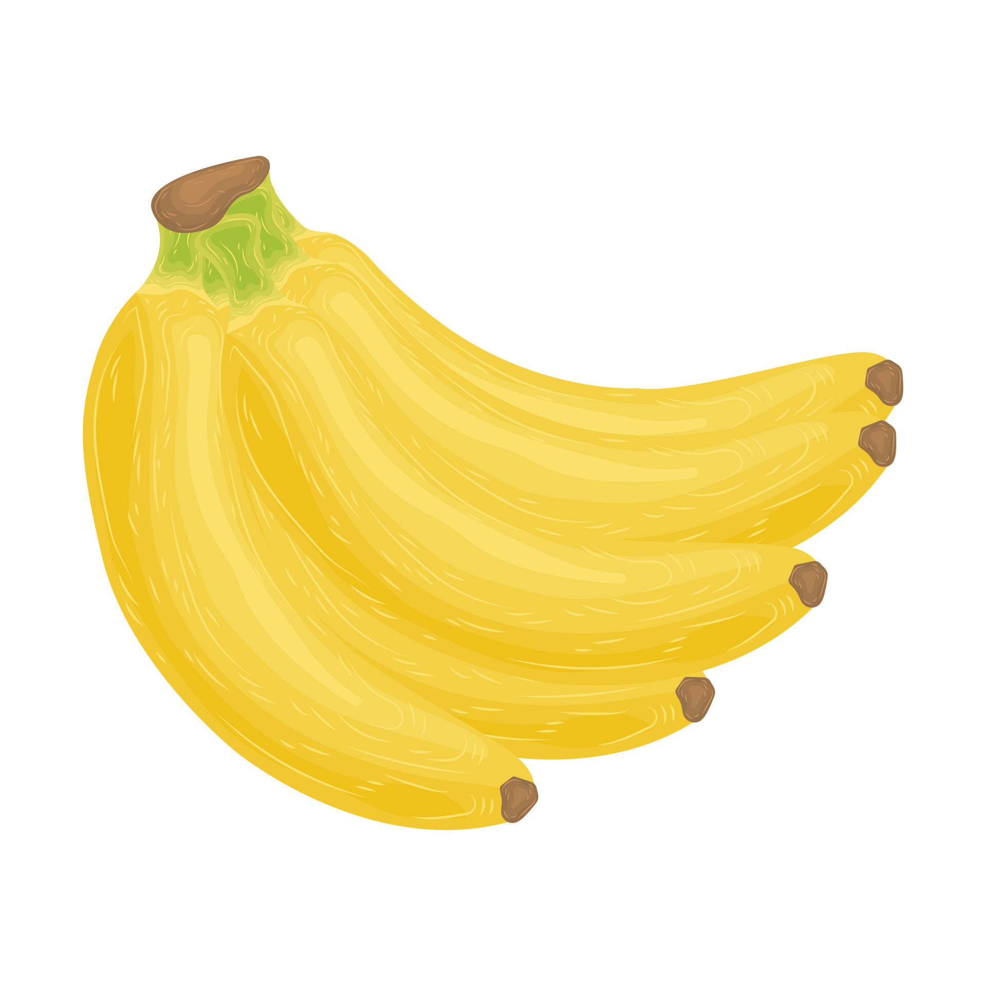tropical banana summer food vector market element cartoon fruit health fresh product harvest nature 7810633 Vector Art at Vecteezy tropical banana summer food vector market element cartoon fruit health fresh product harvest nature 7810633 Vector Art at Vecteezy