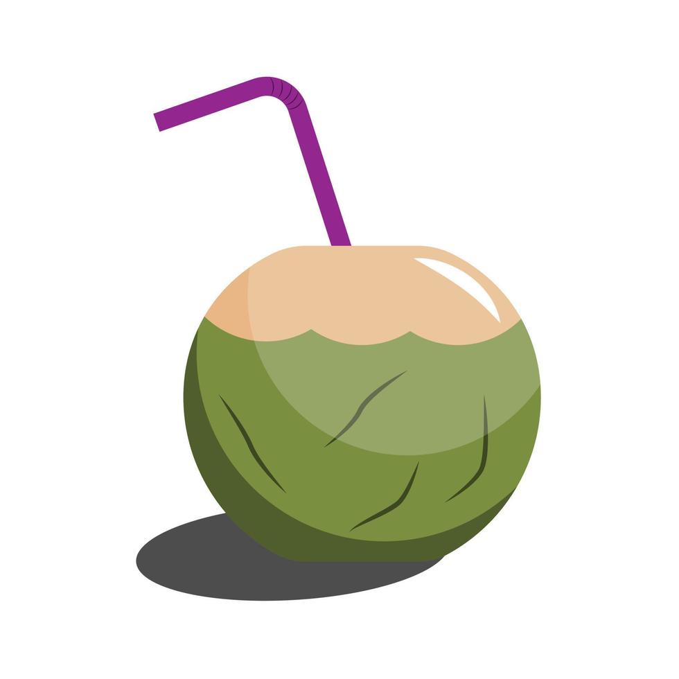 Coconut Water Drink with a straw. Green coconut on white background vector