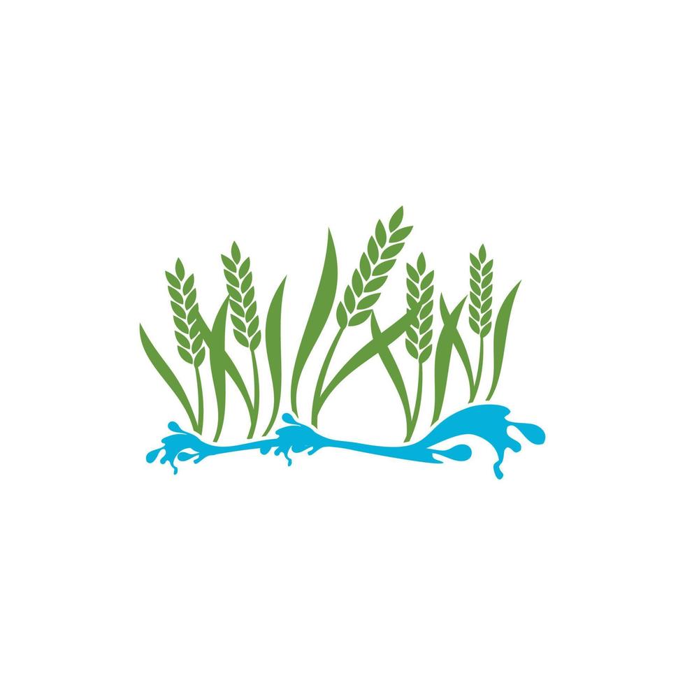 wheat plant vector logo design growing in water