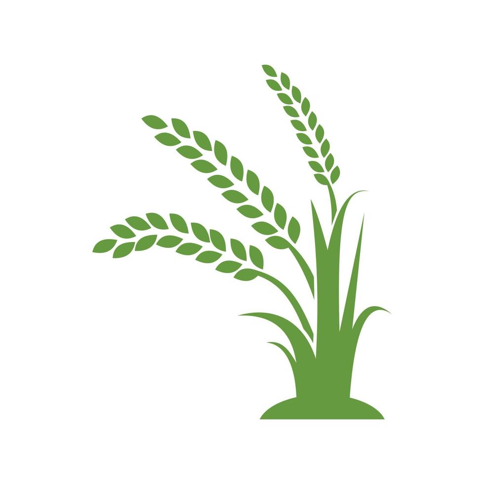 green wheat tree logo design vector