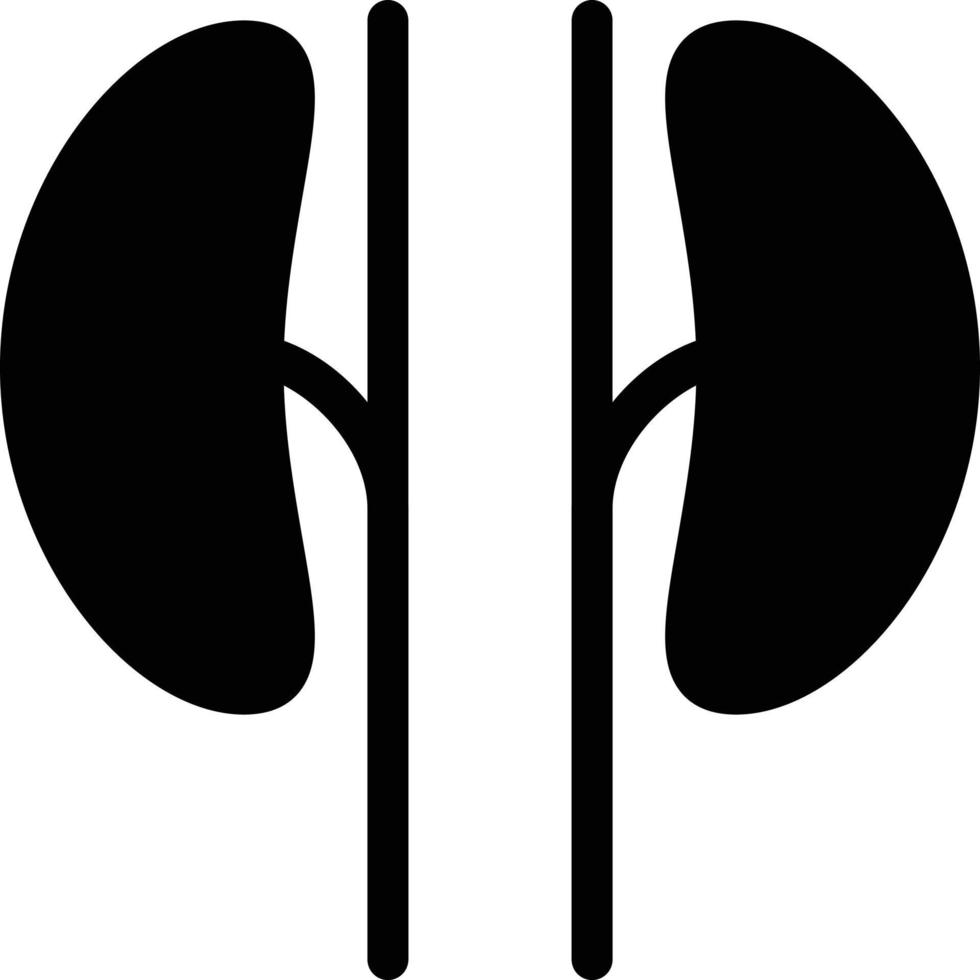 Kidney vector illustration on a background.Premium quality symbols.vector icons for concept and graphic design.
