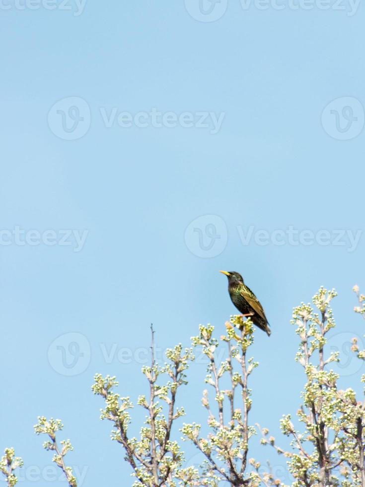A Birdseye view photo