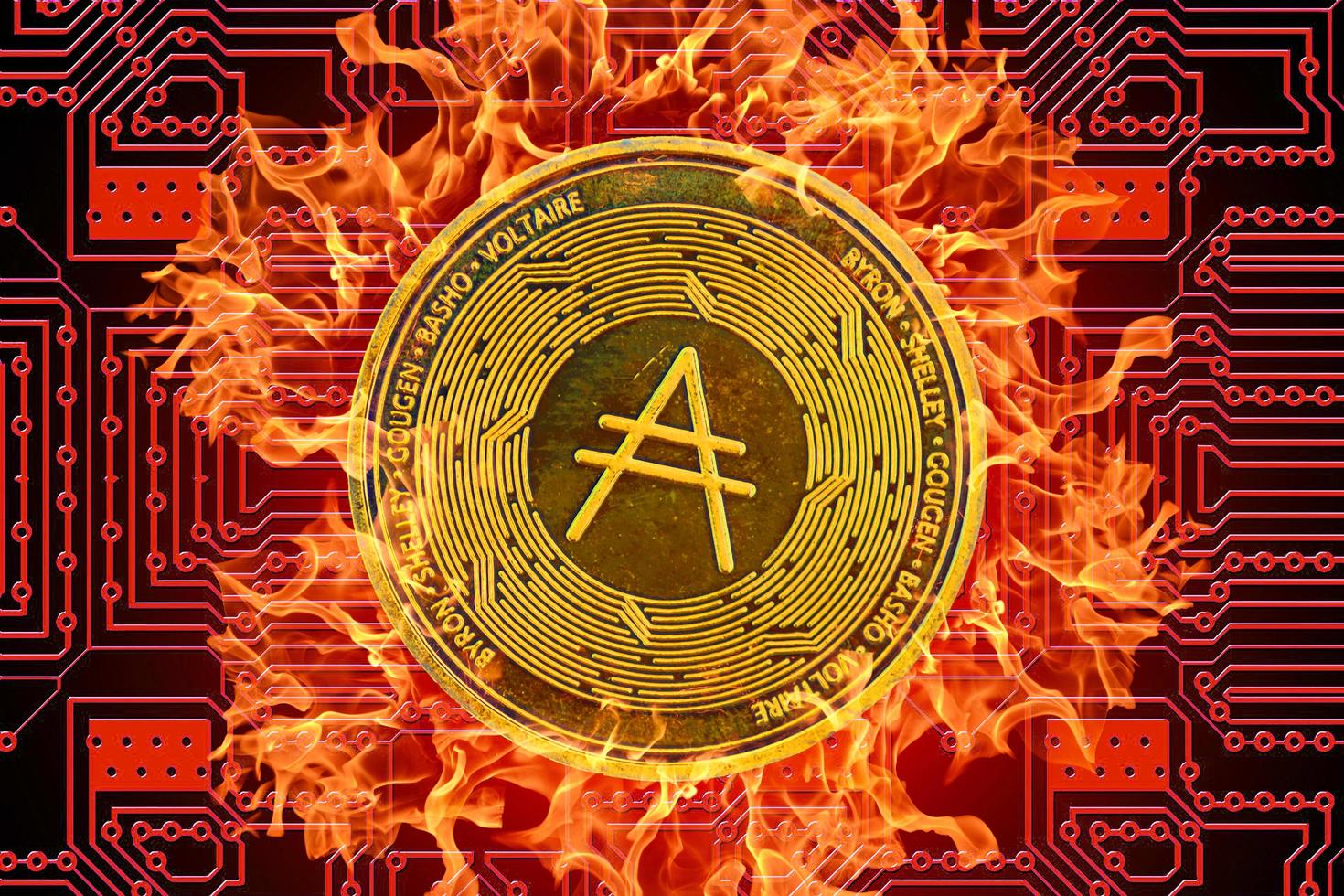 burning golden valueable single cardano coin from crypto currency with a red board in the background middle photo