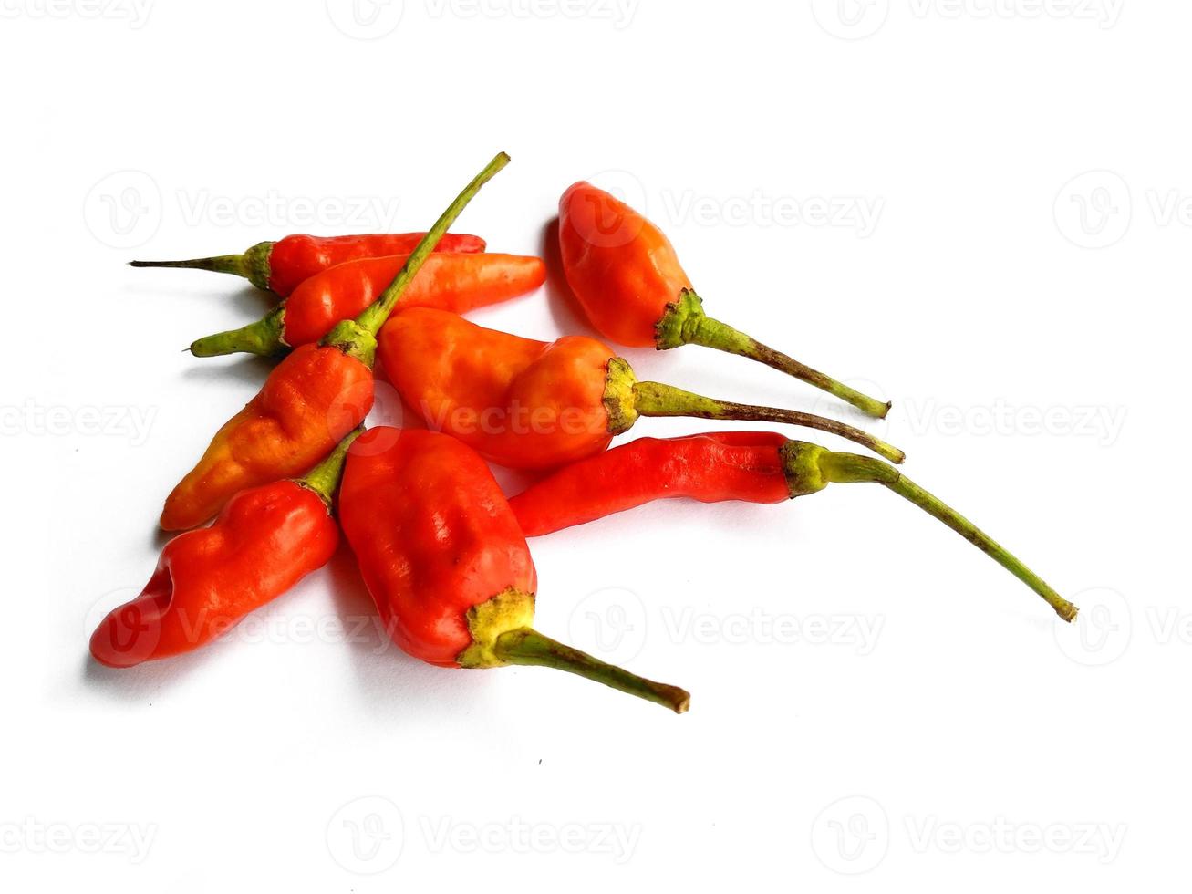 Hot red chili pepper. Chili pepper isolated on a white background photo