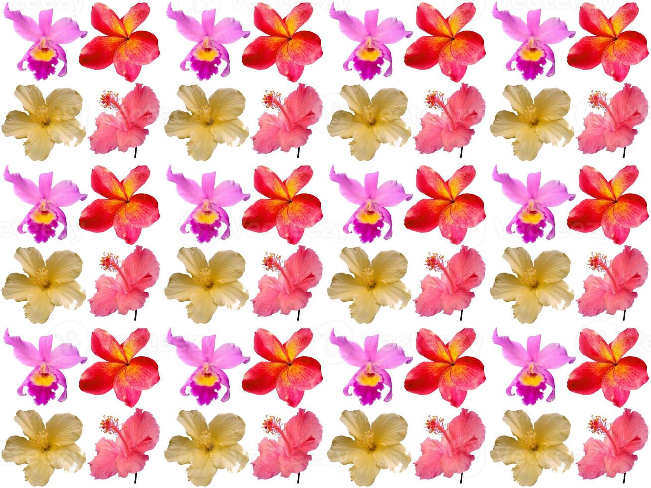 Pattern Floral background photo