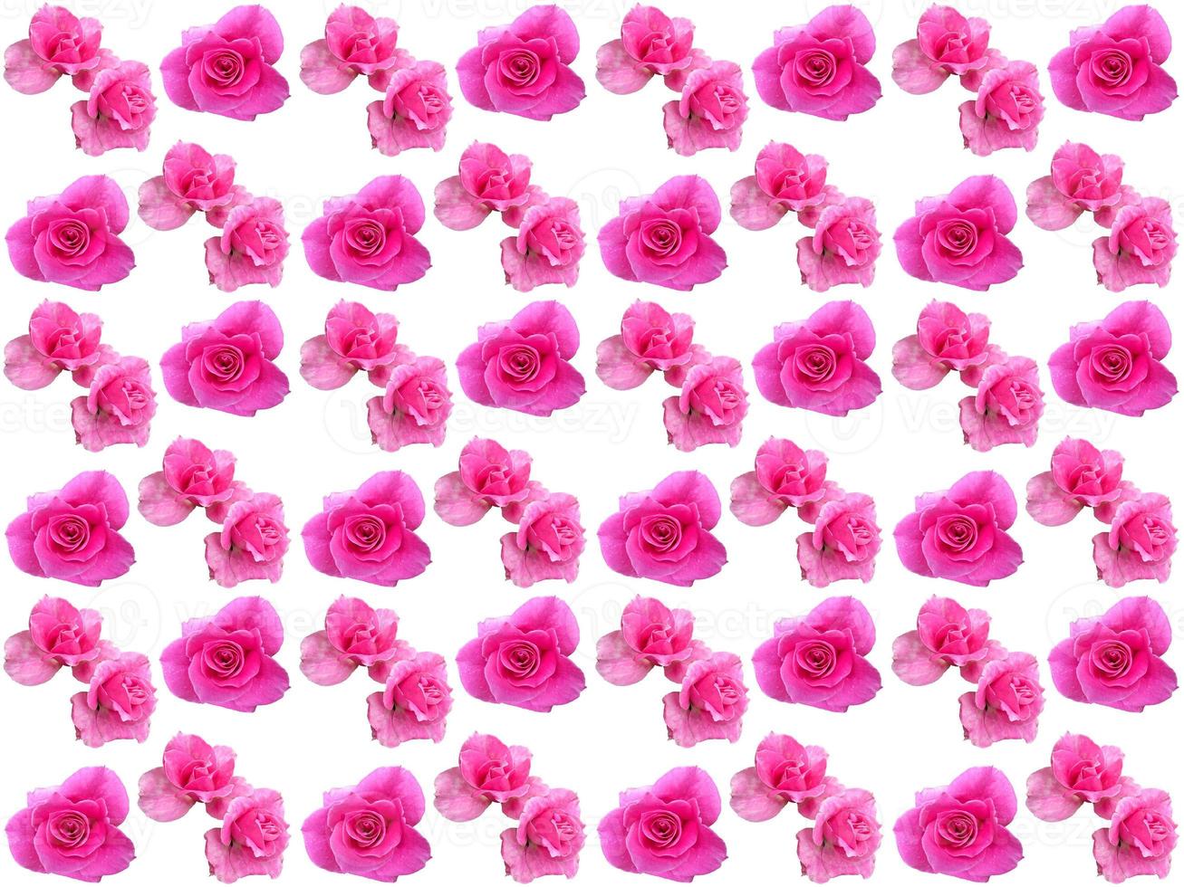 Floral Pattern background photo