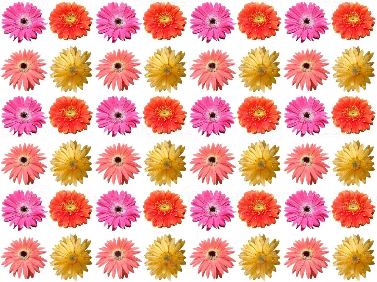 Pattern Floral background photo