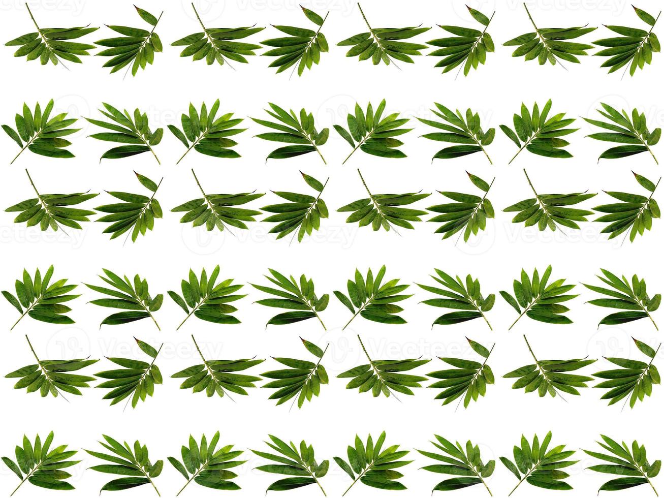 Pattern Leaves background photo