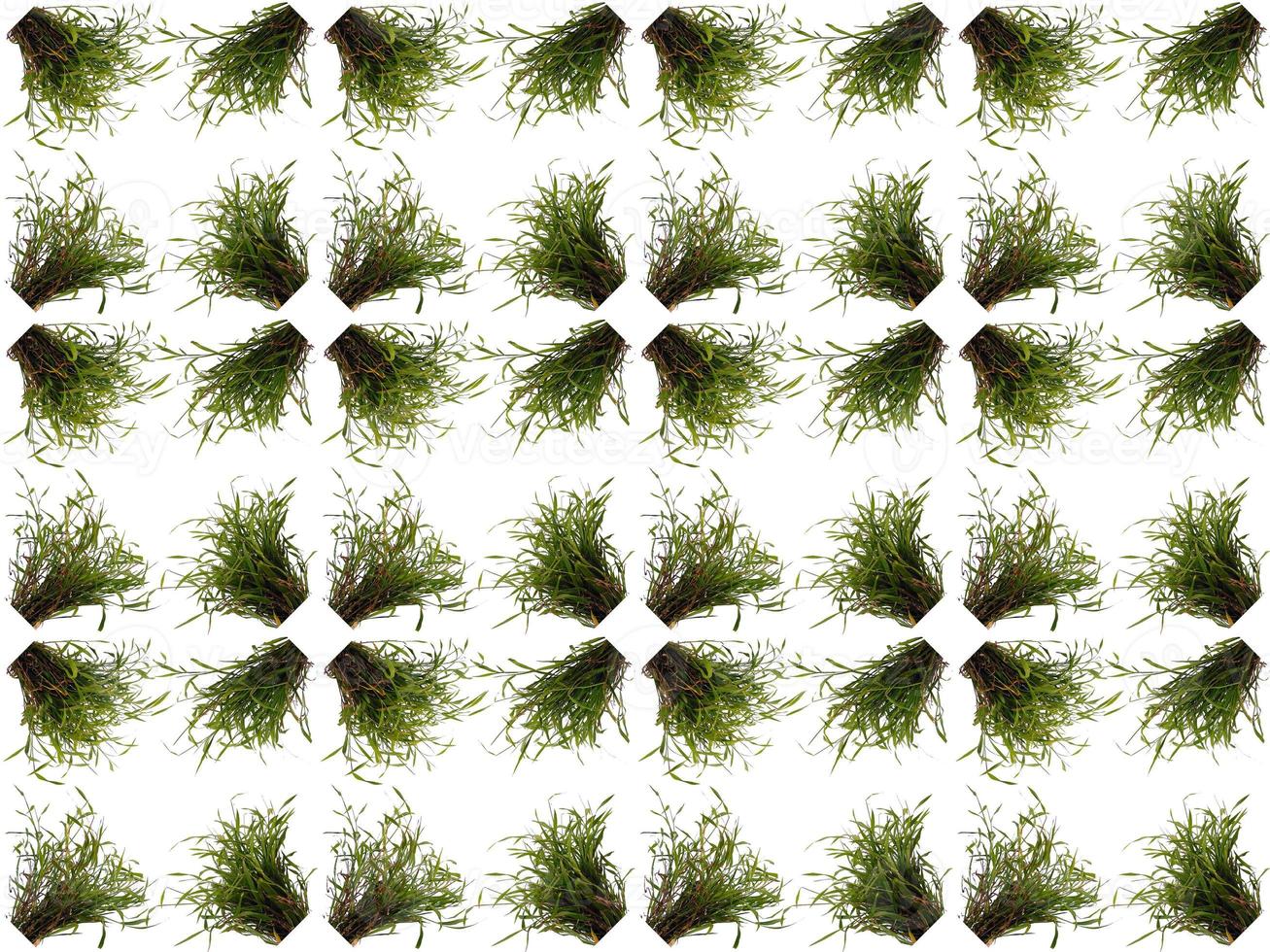 Leaf pattern background photo