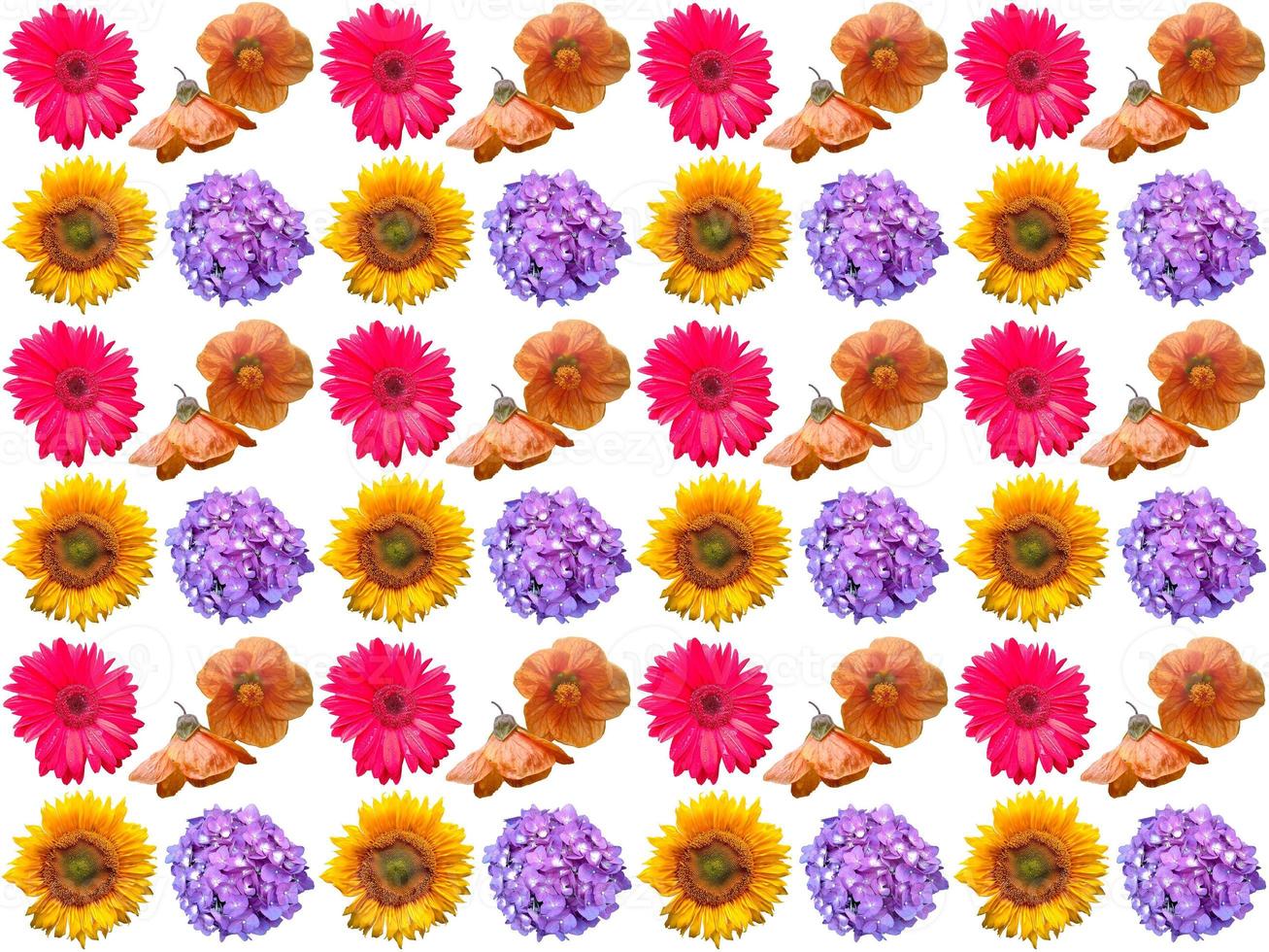 Flowers Pattern background photo