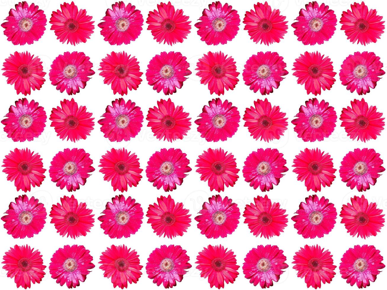 Pattern Flowers background photo