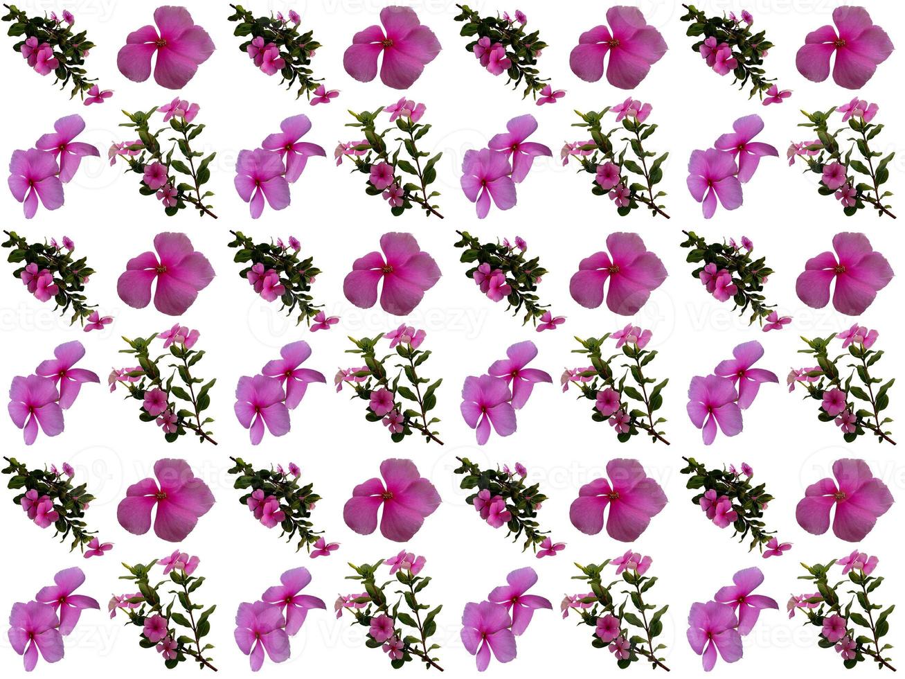 Floral Pattern on a white background photo