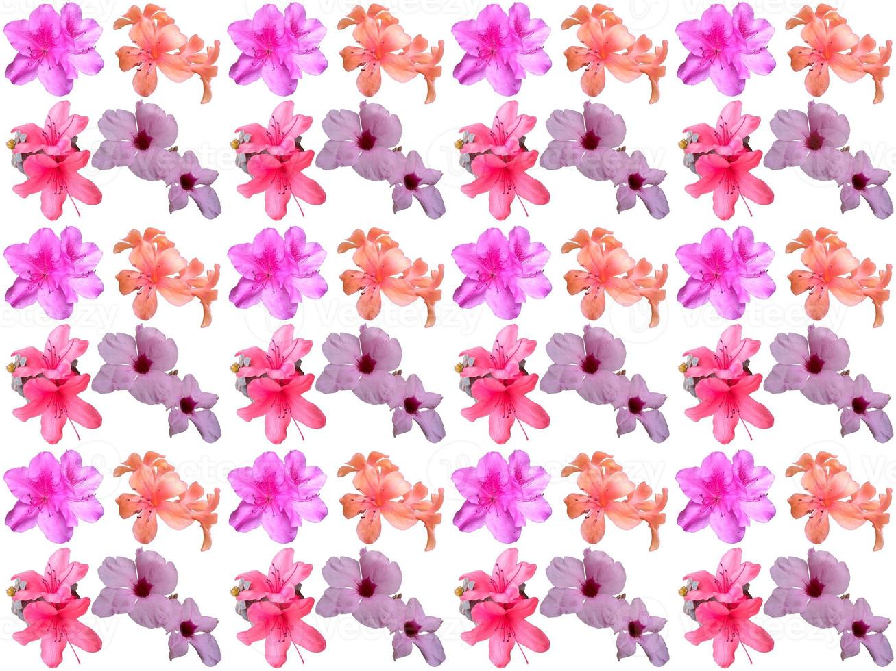 Floral Pattern background photo