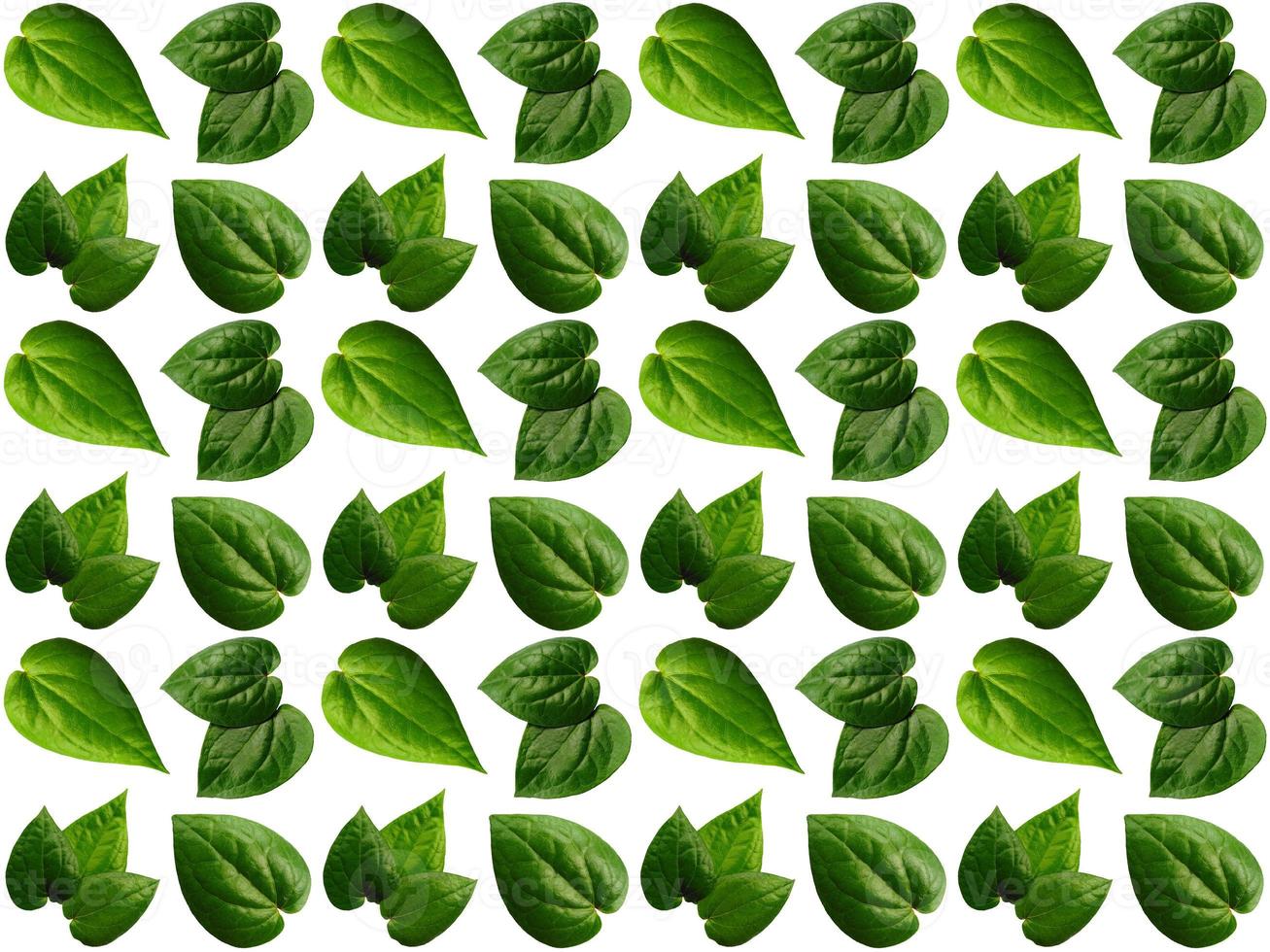 Leaves pattern background photo