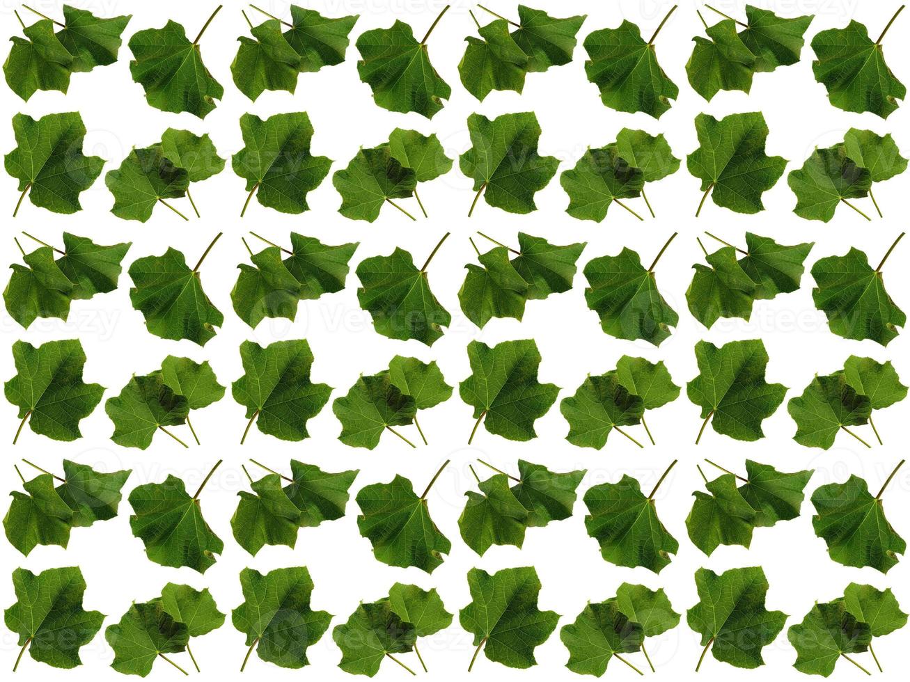 Leaf pattern background photo