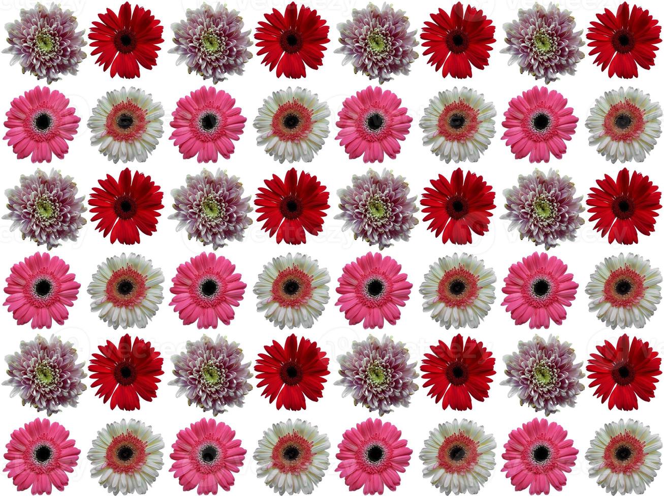 Pattern Floral background photo