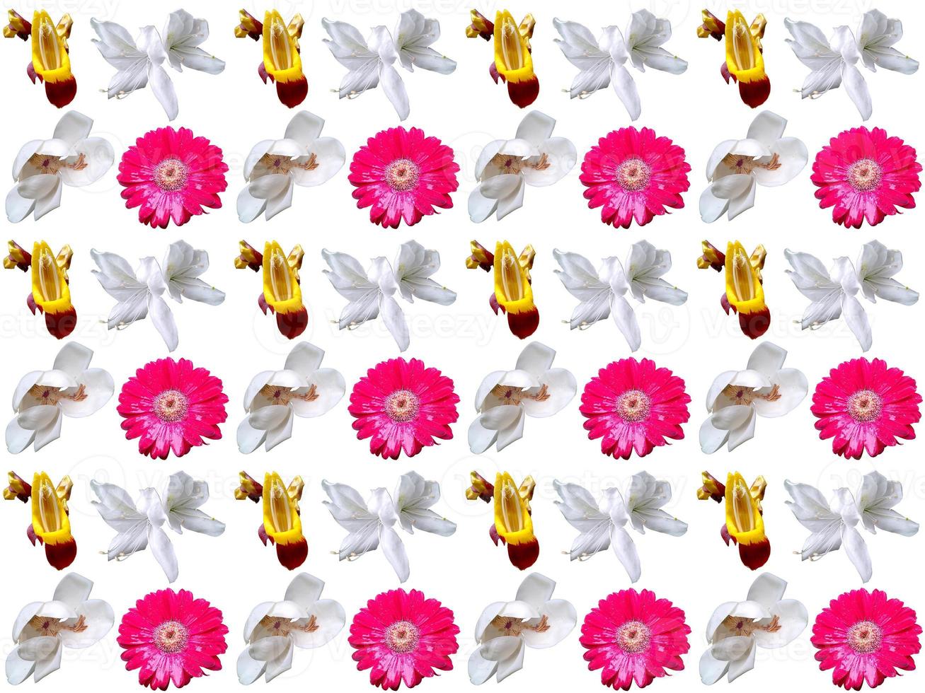 Floral Pattern background photo