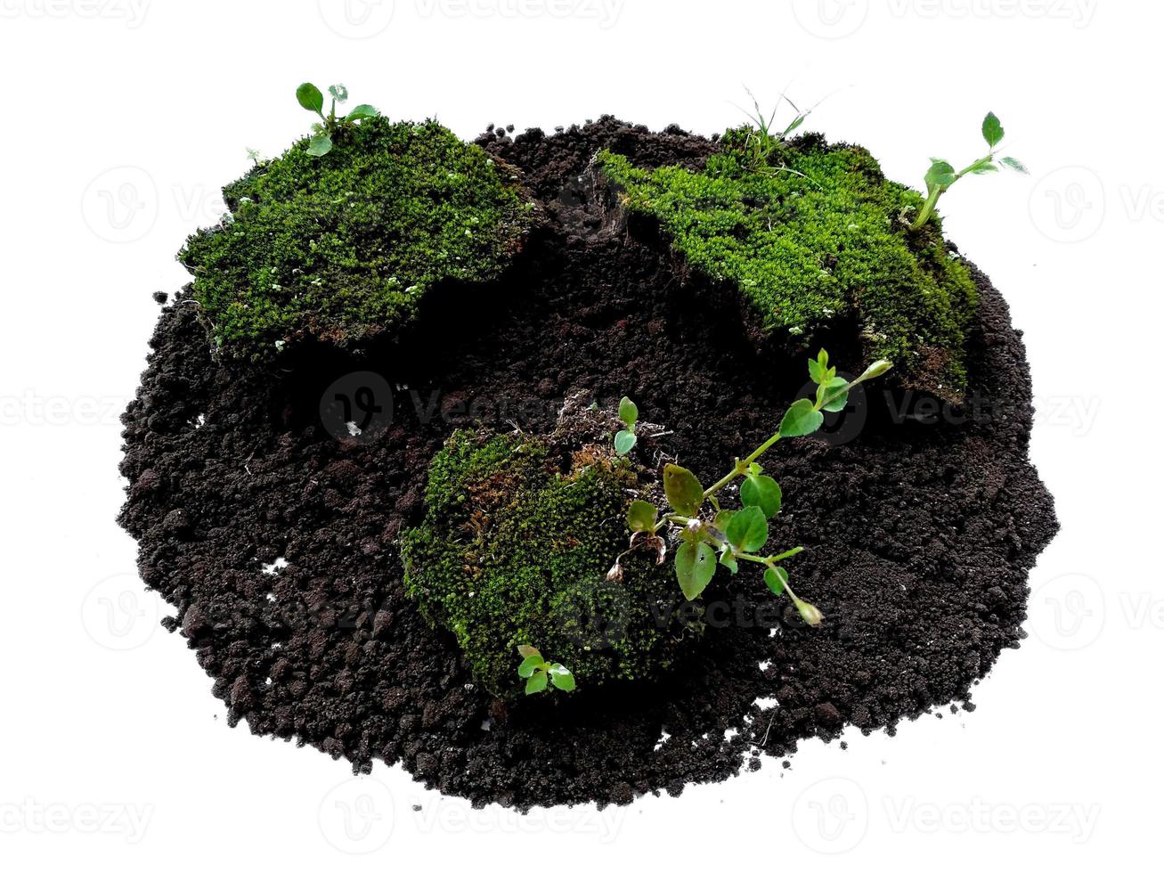 musgo verde con suciedad o suelo aislado sobre fondo blanco foto