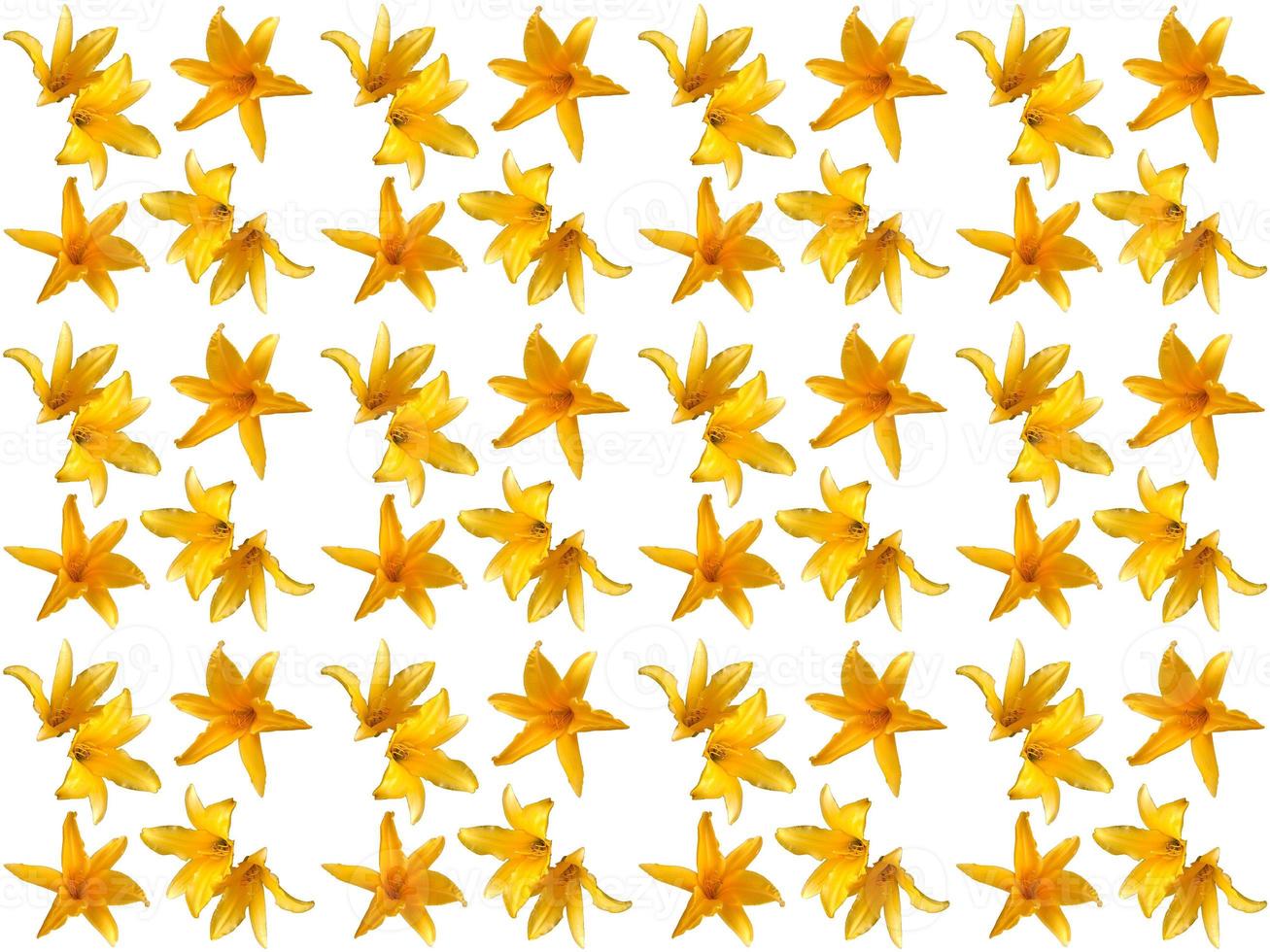 patrón de flores de fondo foto