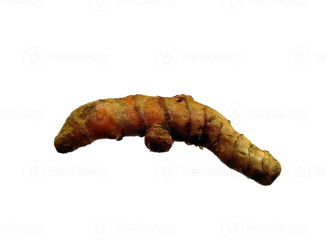 Fresh turmeric root. Fresh Cut Turmeric or Curcuma Longa Isolated on white background photo