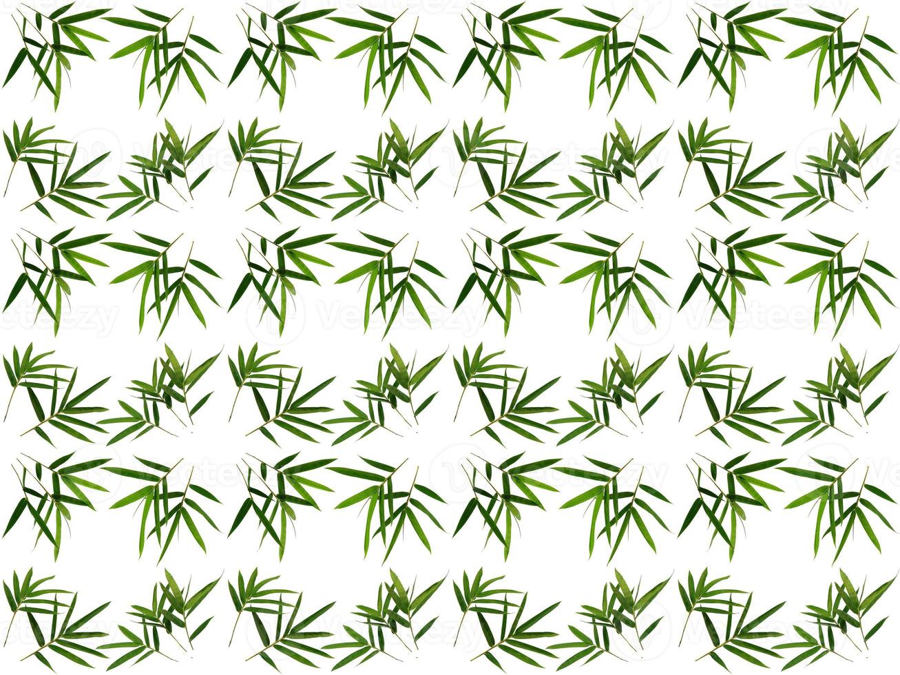 Pattern Leaf background photo